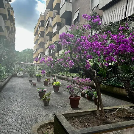 Marellini Lido Nord