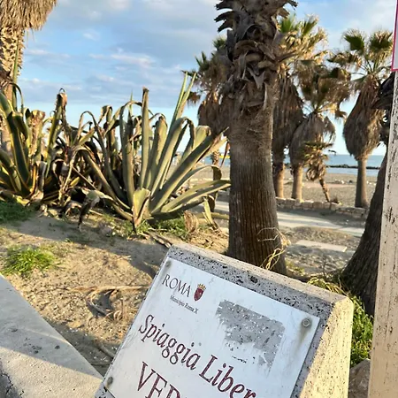 Marellini Lido Nord Lido di Ostia