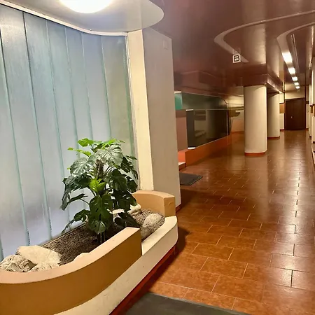 公寓 Marellini Lido Nord 丽都迪奥斯蒂亚